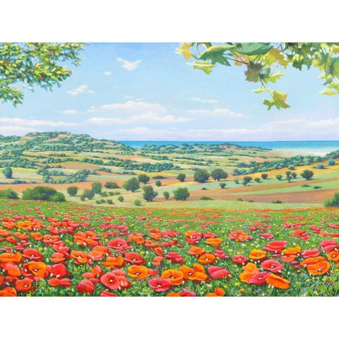 Campo di papaveri Black Modern Wood Framed Art Print by Del Missier, Andrea