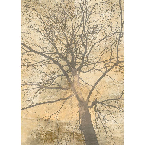 Below My Tree I White Modern Wood Framed Art Print by Aprile, Alessio