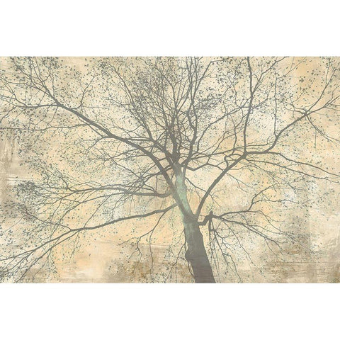 Below My Tree II Black Modern Wood Framed Art Print with Double Matting by Aprile, Alessio