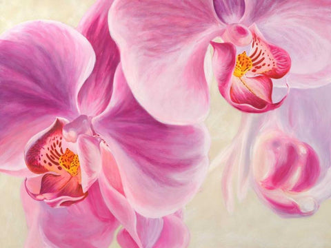 Purple Orchids Black Ornate Wood Framed Art Print with Double Matting by Ann, Cynthia