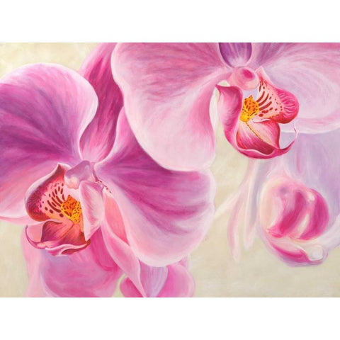Purple Orchids White Modern Wood Framed Art Print by Ann, Cynthia