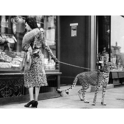 Elegant Woman with Cheetah Black Modern Wood Framed Art Print with Double Matting by Anonymous