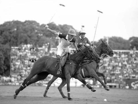 Polo players, Argentina White Modern Wood Framed Art Print with Double Matting by Anonymous