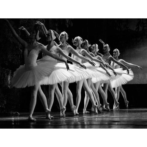 Swan Lake ballet White Modern Wood Framed Art Print by Anonymous