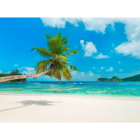 Tropical beach, Seychelles (detail) White Modern Wood Framed Art Print by Anonymous