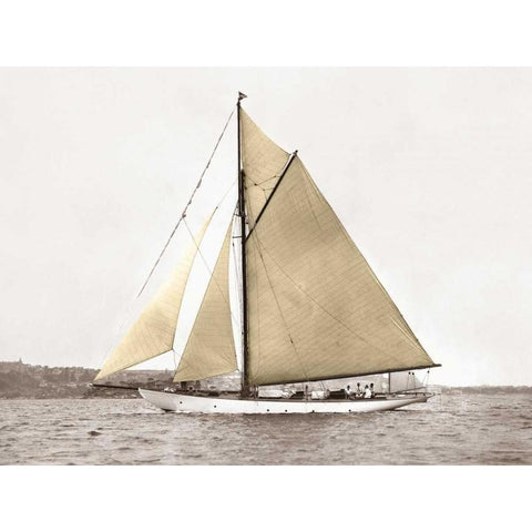 Yacht on Sydney Harbour Black Modern Wood Framed Art Print with Double Matting by Anonymous