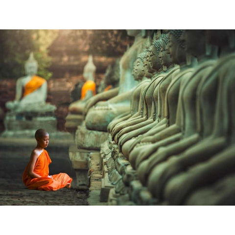 Young Buddhist Monk praying, Thailand Black Modern Wood Framed Art Print with Double Matting by Pangea Images