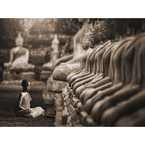Young Buddhist Monk praying, Thailand (sepia) White Modern Wood Framed Art Print by Pangea Images