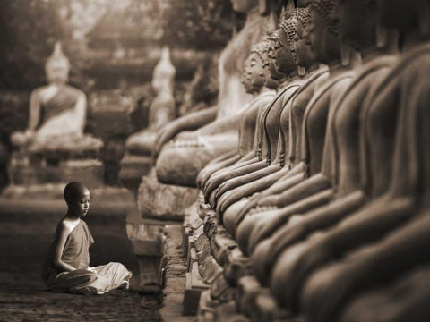 Young Buddhist Monk praying, Thailand (sepia) White Modern Wood Framed Art Print with Double Matting by Pangea Images