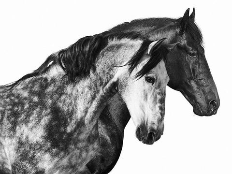 Together White Modern Wood Framed Art Print with Double Matting by Pangea Images