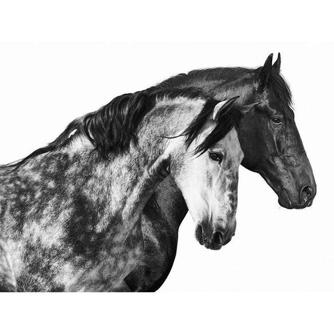 Together White Modern Wood Framed Art Print by Pangea Images