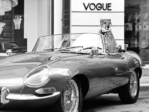 En Vogue Black Ornate Wood Framed Art Print with Double Matting by Lauren Julian