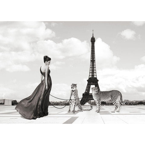 Trocadero View (detail) Black Modern Wood Framed Art Print with Double Matting by Lauren, Julian