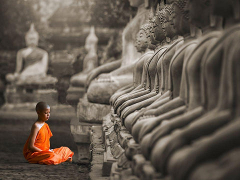 Young Buddhist Monk praying, Thailand (BW) White Modern Wood Framed Art Print with Double Matting by Pangea Images