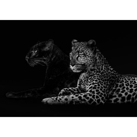 Brotherhood (detail) Black Modern Wood Framed Art Print with Double Matting by Lauren, Julian