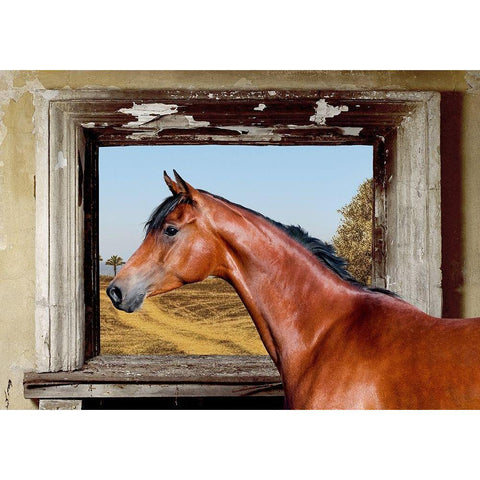 Arab King Black Modern Wood Framed Art Print with Double Matting by Lauren, Julian