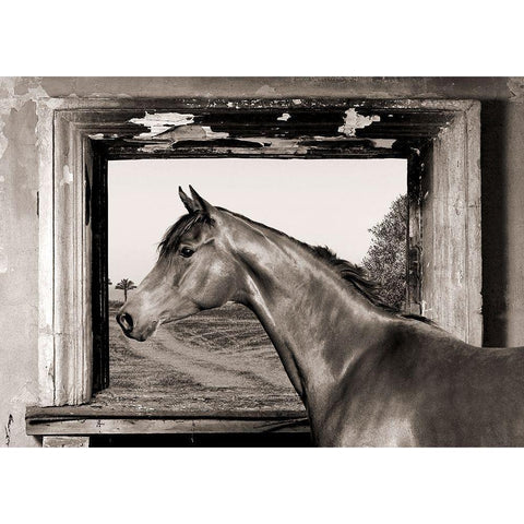 Arab King (BW) Black Modern Wood Framed Art Print with Double Matting by Lauren, Julian