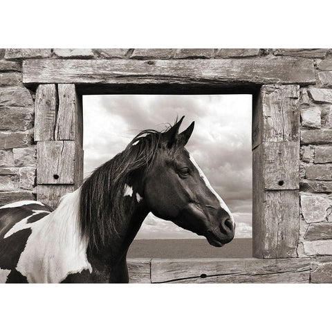Painted Horse (BW) Gold Ornate Wood Framed Art Print with Double Matting by Lauren, Julian