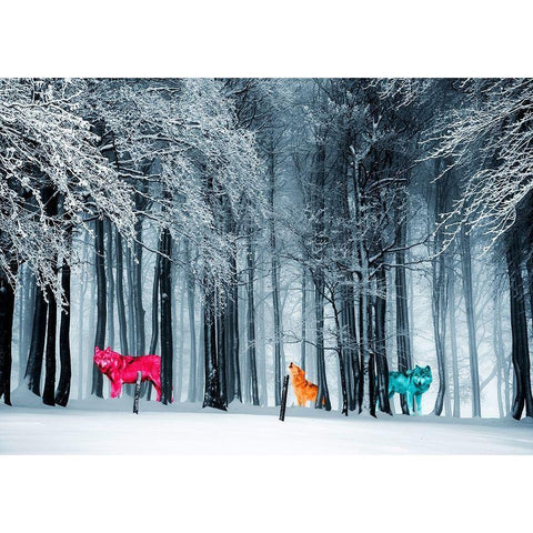 Kings of the Wild Frontier Black Modern Wood Framed Art Print by Arlo Wren Photos