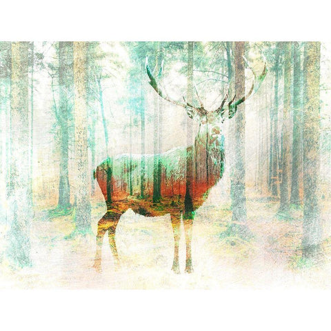 Lord of the Woods White Modern Wood Framed Art Print by Arlo Wren Photos