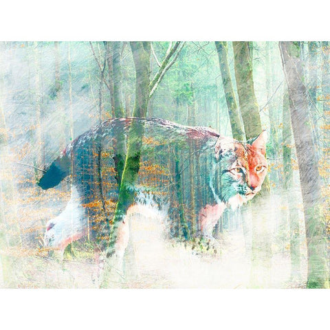 Silent Hunter Black Modern Wood Framed Art Print by Arlo Wren Photos