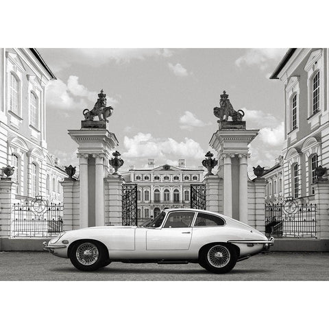 Princess at the Palace (detail) Black Modern Wood Framed Art Print with Double Matting by Gasoline Images