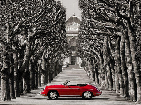 Roadster in tree lined road, Paris White Modern Wood Framed Art Print with Double Matting by Gasoline Images