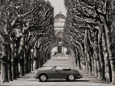 Roadster in tree lined road, Paris (BW) Black Ornate Wood Framed Art Print with Double Matting by Gasoline Images