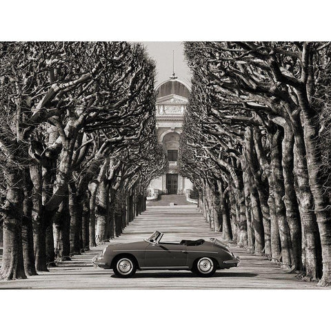 Roadster in tree lined road, Paris (BW) White Modern Wood Framed Art Print by Gasoline Images