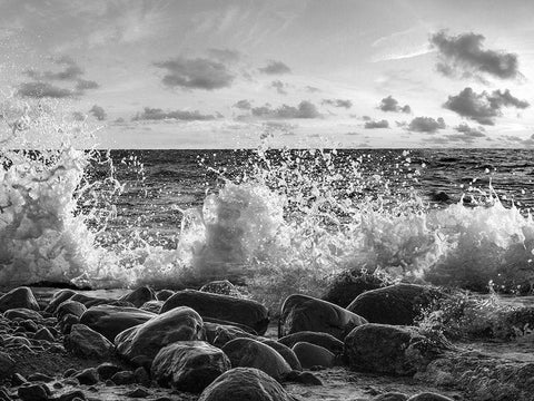 Waves crashing, Point Reyes, California (BW) Black Ornate Wood Framed Art Print with Double Matting by Pangea Images