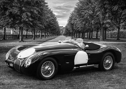 Vintage Roadster in a Park Black Ornate Wood Framed Art Print with Double Matting by Gasoline Images