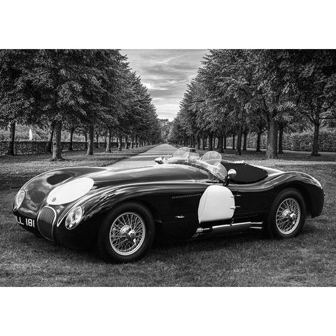 Vintage Roadster in a Park Black Modern Wood Framed Art Print by Gasoline Images