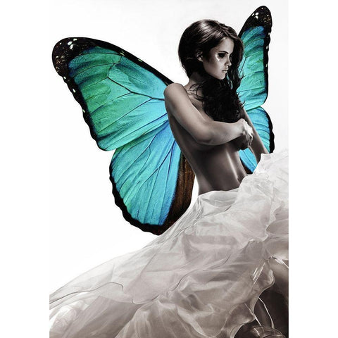 Winged Beauty -1 (detail) White Modern Wood Framed Art Print by Lauren, Julian