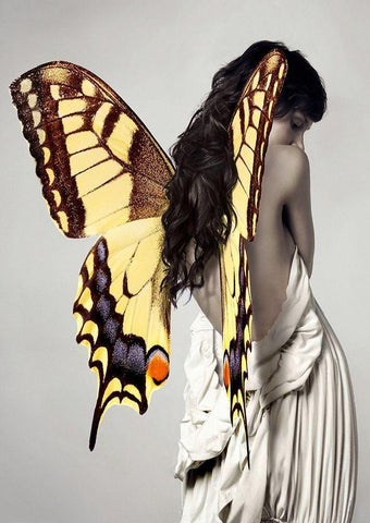 Winged Beauty -3 White Modern Wood Framed Art Print with Double Matting by Lauren, Julian