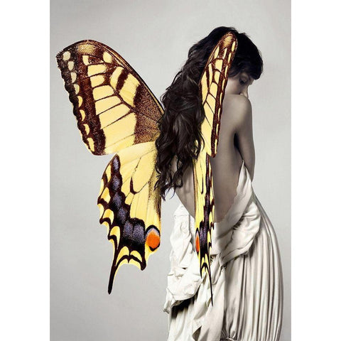 Winged Beauty -3 Black Modern Wood Framed Art Print by Lauren, Julian