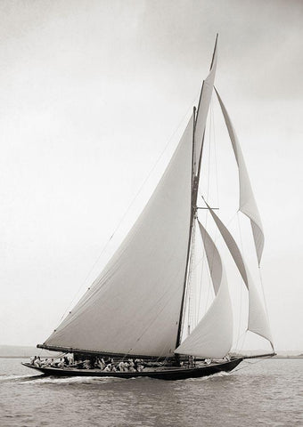 Britannia Black Ornate Wood Framed Art Print with Double Matting by Anonymous