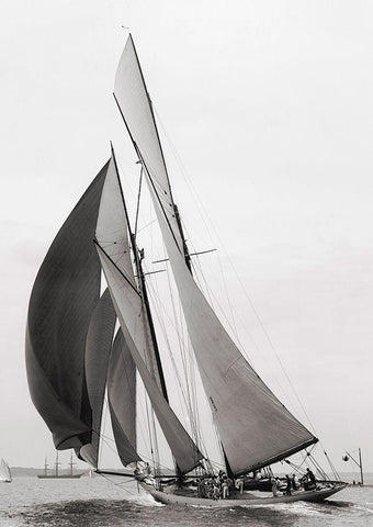 Colonia Black Ornate Wood Framed Art Print with Double Matting by Anonymous