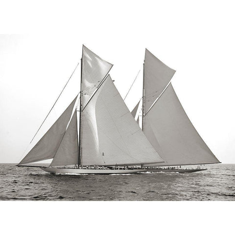 Columbia and Shamrock- 1901 Gold Ornate Wood Framed Art Print with Double Matting by Anonymous