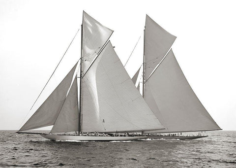 Columbia and Shamrock- 1901 Black Ornate Wood Framed Art Print with Double Matting by Anonymous