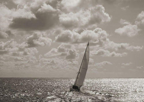 Sailing Black Ornate Wood Framed Art Print with Double Matting by Pangea Images
