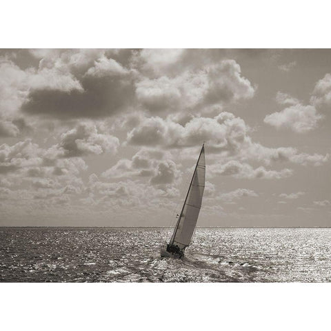 Sailing Black Modern Wood Framed Art Print by Pangea Images