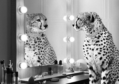 Wild Beauty (BW) White Modern Wood Framed Art Print with Double Matting by Lauren, Julian