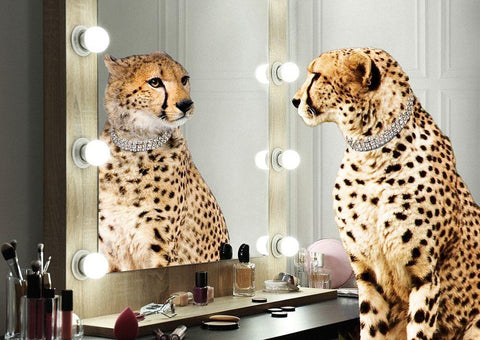 Wild Beauty White Modern Wood Framed Art Print with Double Matting by Lauren, Julian