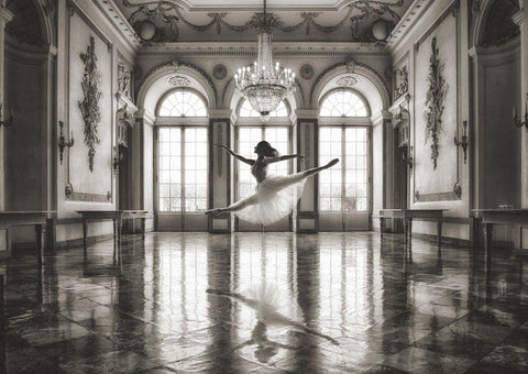 Ballerina in a palace hall Black Ornate Wood Framed Art Print with Double Matting by Lauren, Julian