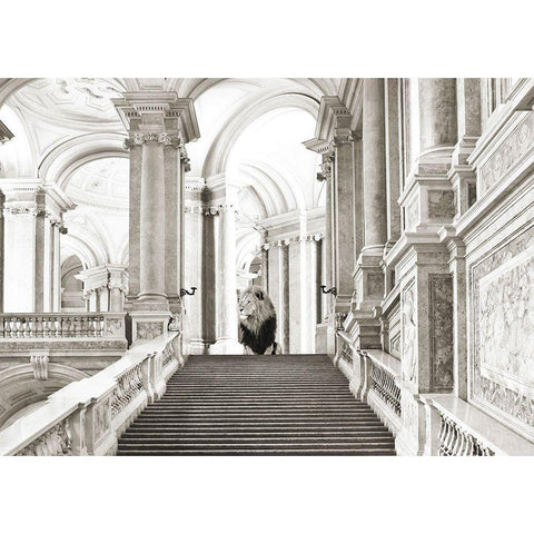 Luxurious Wilderness III Black Modern Wood Framed Art Print by Lauren, Julian