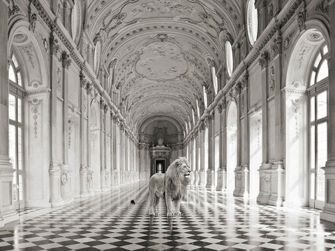 Luxurious Wilderness IV White Modern Wood Framed Art Print with Double Matting by Lauren, Julian