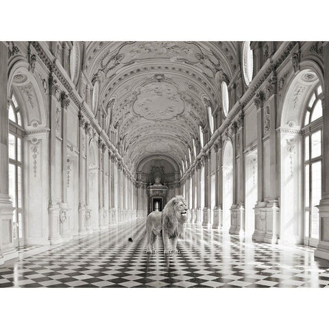 Luxurious Wilderness IV White Modern Wood Framed Art Print by Lauren, Julian