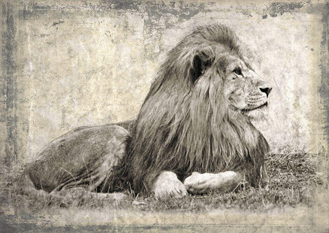 Memories of Africa I Black Ornate Wood Framed Art Print with Double Matting by Moureau, Marc