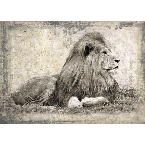 Memories of Africa I Gold Ornate Wood Framed Art Print with Double Matting by Moureau, Marc