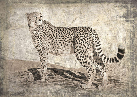 Memories of Africa II White Modern Wood Framed Art Print with Double Matting by Moureau, Marc